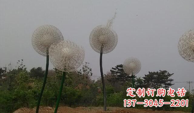 郑州蒲公英的绚丽多彩