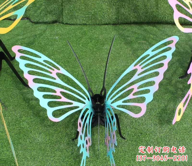 郑州彩色不锈钢镂空蝴蝶雕塑精美又充满生机