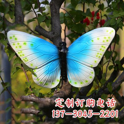 郑州精致风韵,蓝白蝴蝶雕塑