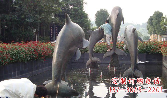 郑州铜雕海豚——传递着海洋之美的艺术作品