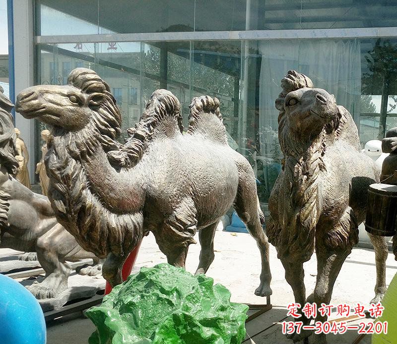 郑州公园骆驼动物铜雕 (2)
