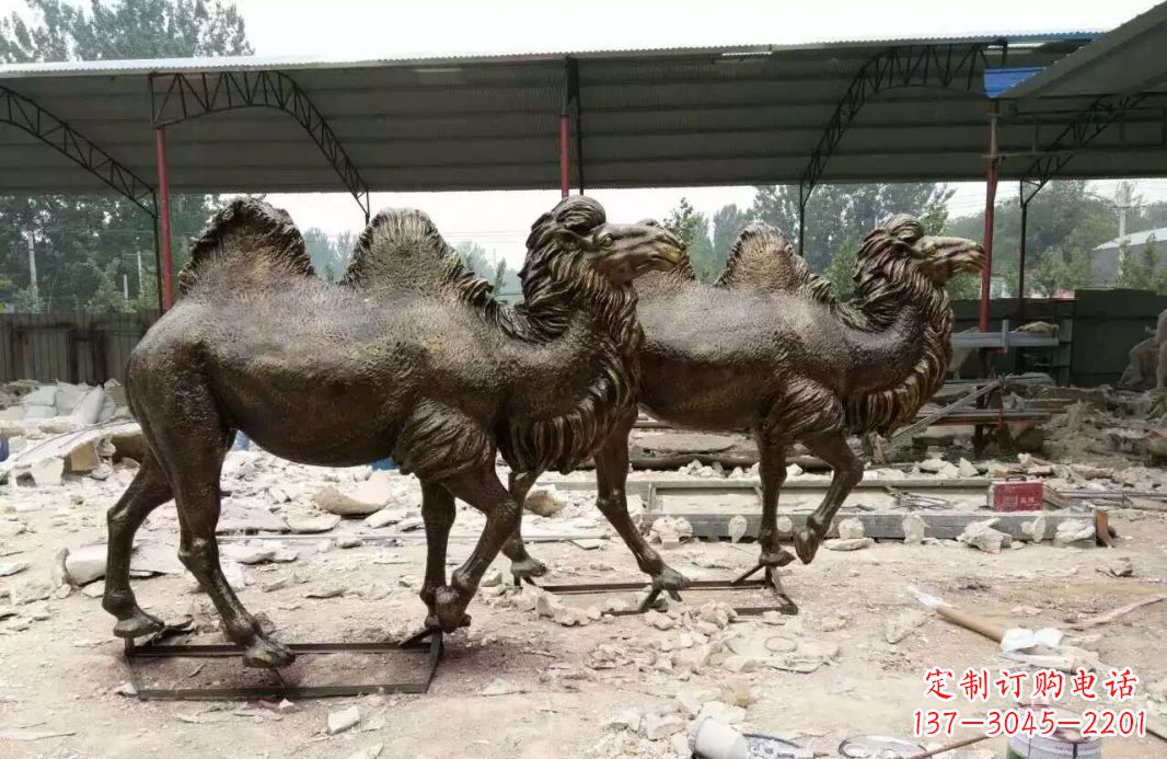 郑州欣赏大自然的艺术之作——骆驼铜雕