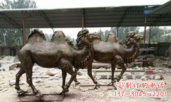 郑州典雅优美的骆驼铜雕