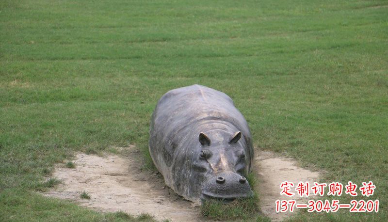 郑州铜雕趴着的河马