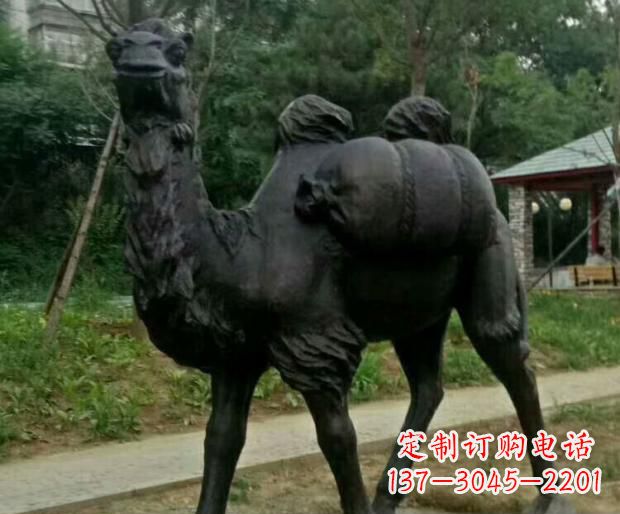 郑州驮行李的骆驼铜雕