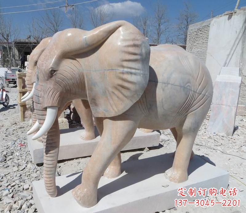郑州晚霞红卷鼻大象