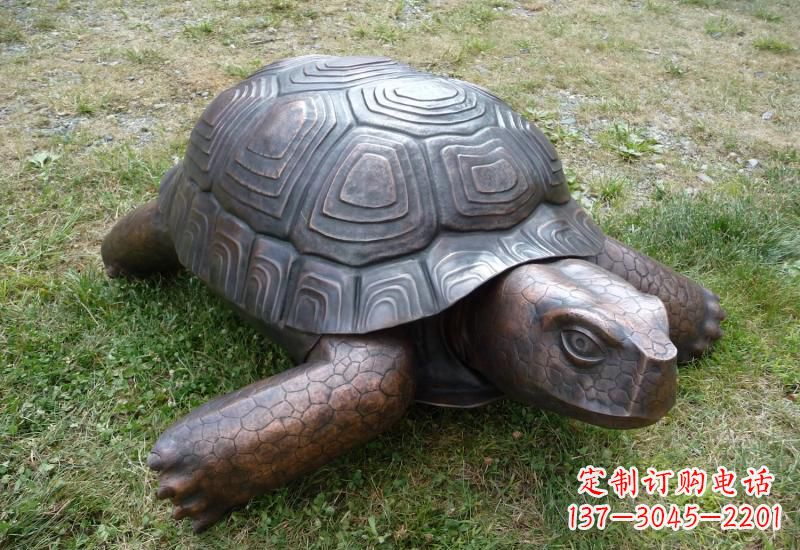 郑州乌龟铜雕222