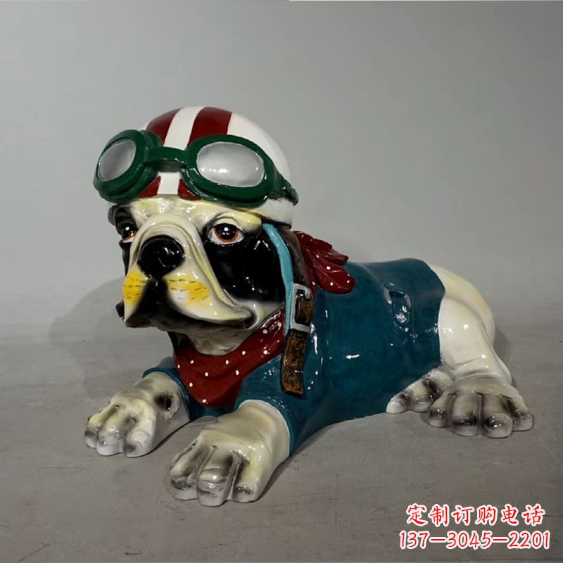 郑州宇航员斗牛犬